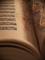 Prises de Sang, Analyses de Laboratoire Mdical Priv & Test d'ADN